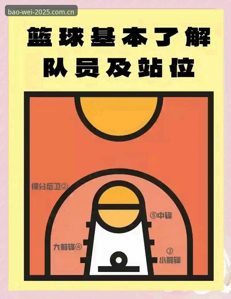 避开3个常见误区，用好年度标识版篮球数据的5个核心场景